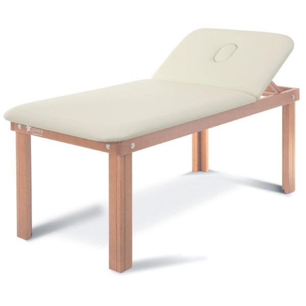 Lettino professionale per Visita Medica Fisioterapia, Massaggio Schienale Regolabile manualmente da 0° a 45° 90 cm modello DEN