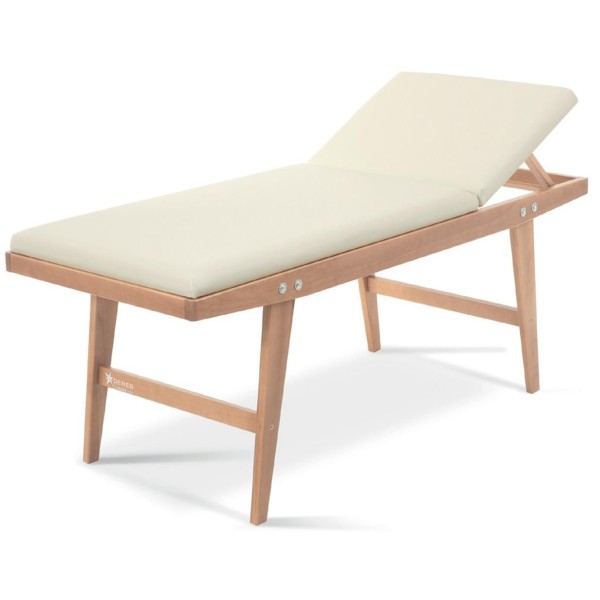 Lettino professionale per Visita Medica Fisioterapia, Massaggio, Schienale Regolabile manualmente da 0° a 45° 76 cm DENEB