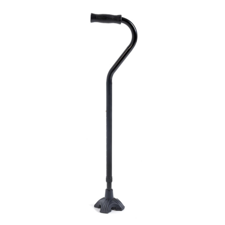 Bastone Per Anzini in...