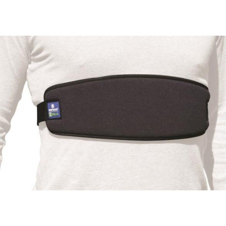 Cintura Pettorale Di...