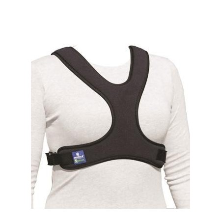 Cintura Per Sedia A Rotelle...