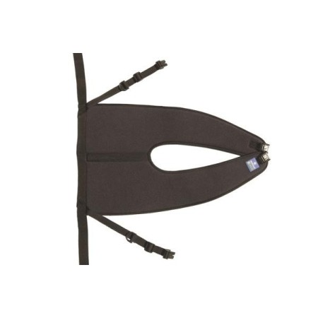 Cintura Pelvica Di...