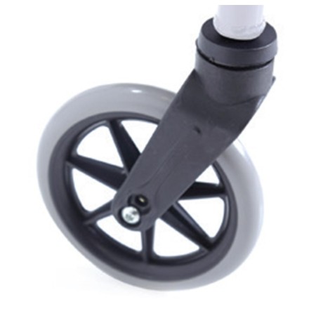 Ruota Frontale con Forca...