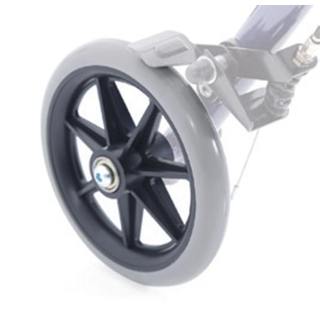 Ruota Posteriore con Forca...