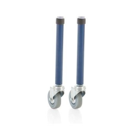 Due Gambe Anteriori Di...