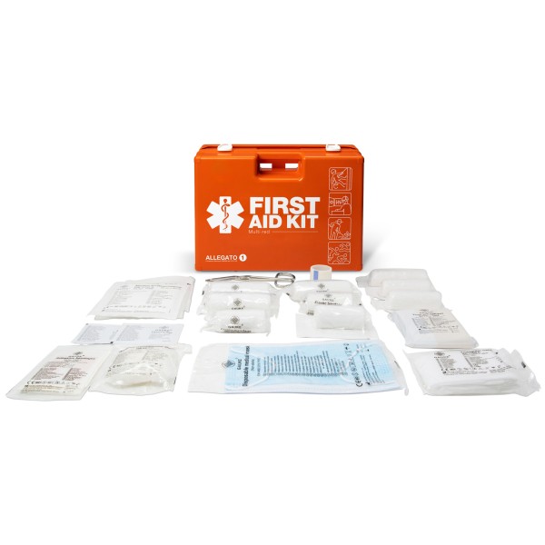 Valigetta di Pronto Soccorso MULTISAN arancio DIN 13169-E 263x170x83 mm