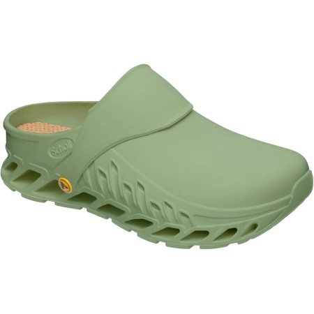 1 - EVOFLEX Scholl Salvia Memory Cushion Professional